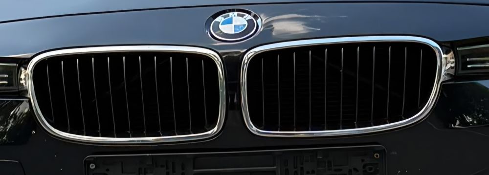 Grile oem Bmw F30