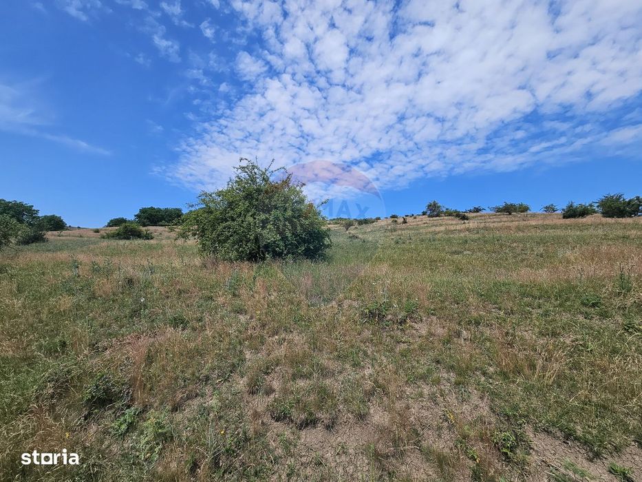 Teren extravilan de vanzare in Campenesti