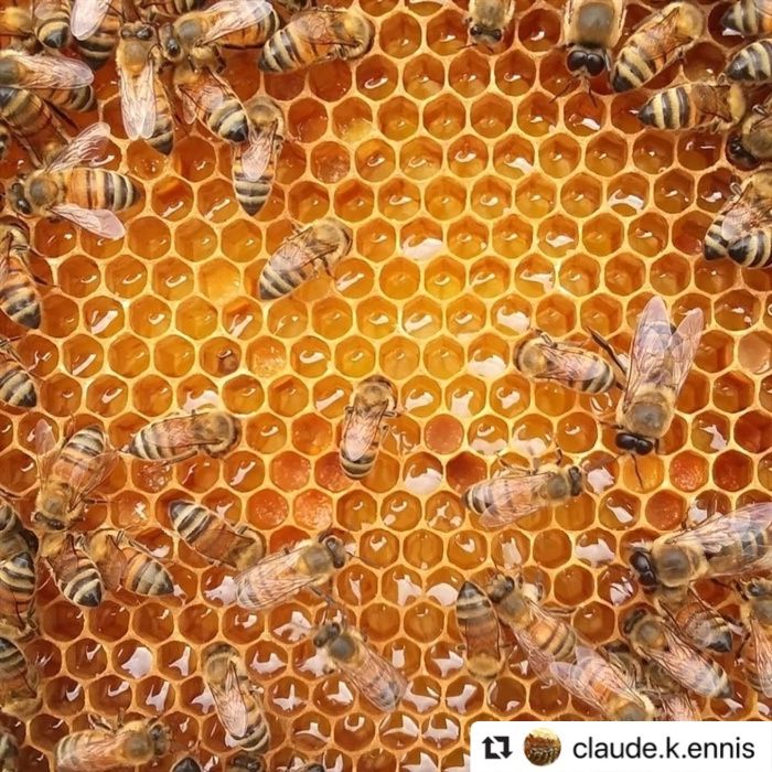 Майиски Асал  Пахта  Асал сотилади.