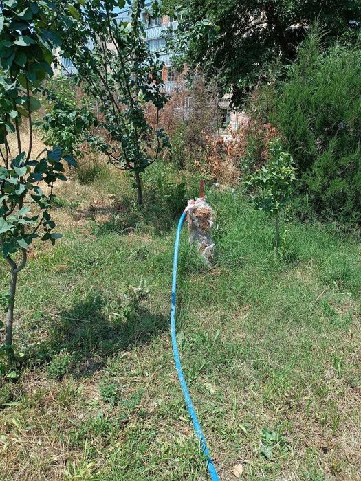 Здания с земельным участком