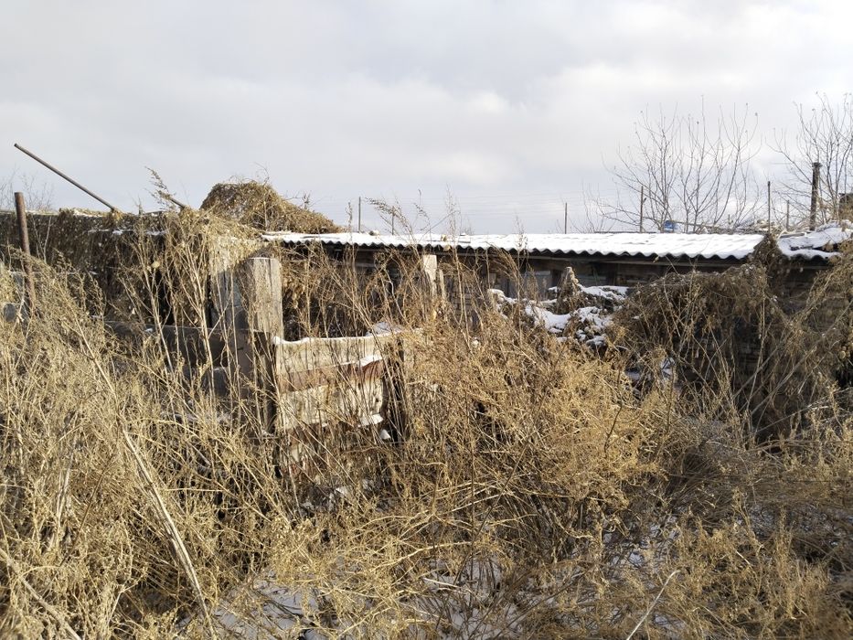 Үй сатылады пос. Северный