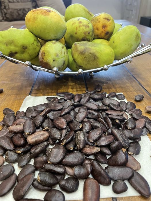 Asimina triloba, American papaw,индиански банан!