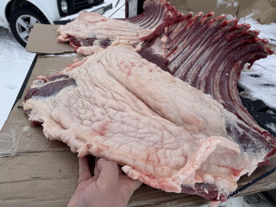 Конина молодая тай