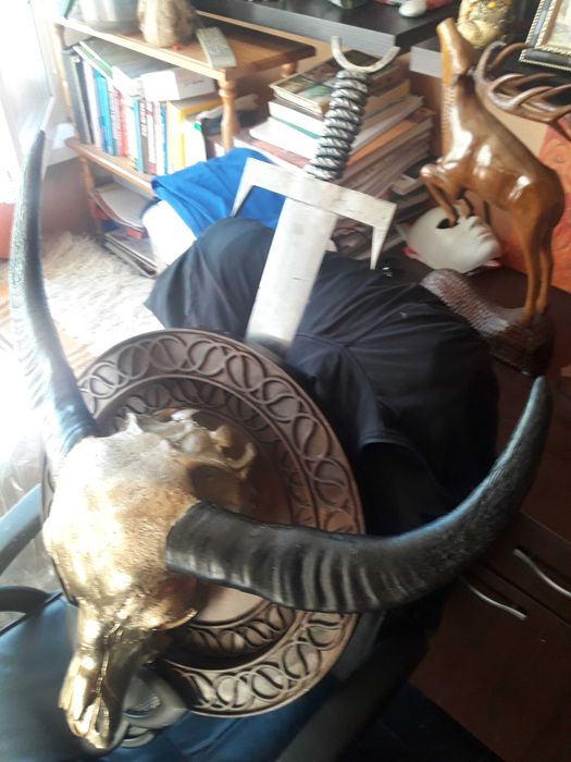 Антикварен уникат! Трофей за дома и офиса