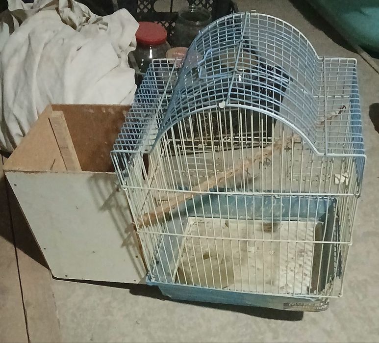 Куш кафаси сотилади