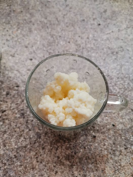 Ciupercă  chefir, zona Crângași