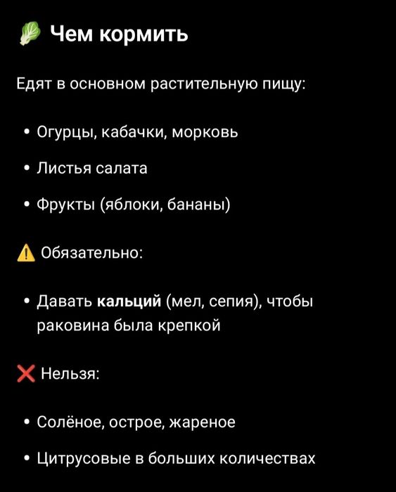 Продам Улиток Ахатин