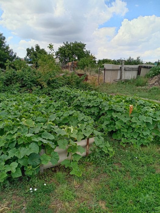 Продам частный дом