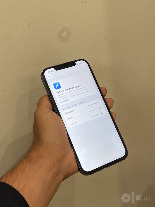 iPhone 12 Pro Max 256 blue
