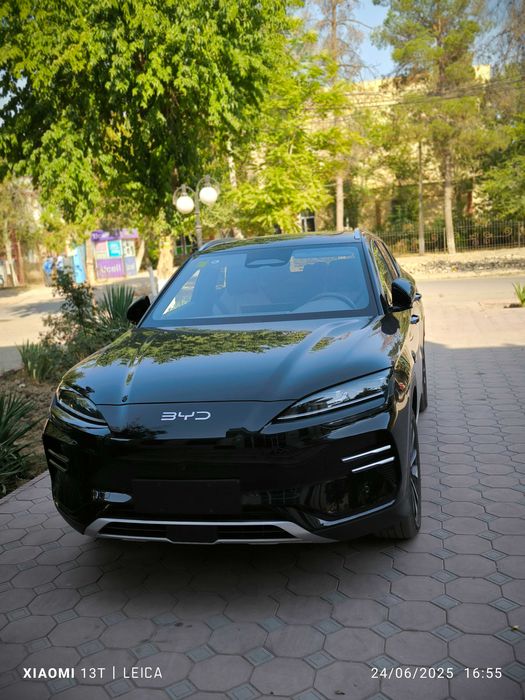 Byd chimpiyon smart 605