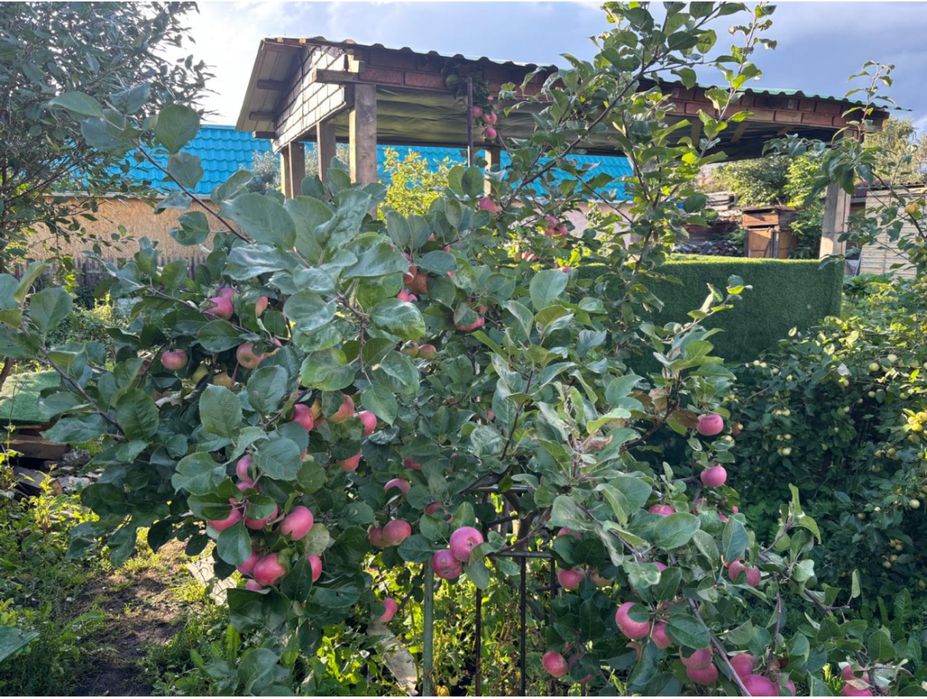 Продам дачу напротив Пестрого