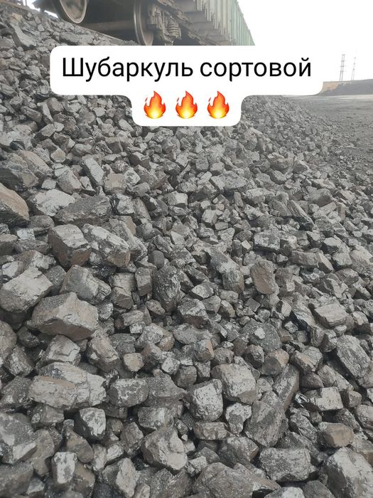 Уголь Шубаркуль, Кузнецкий