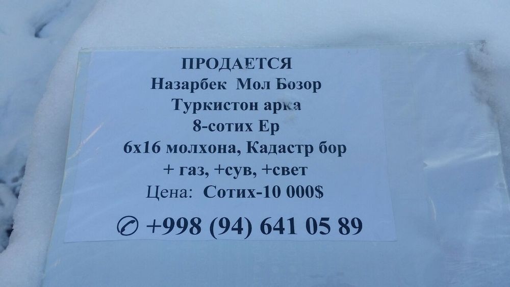 Nazarbek mol bozorda er sotiladi