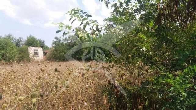 Продава се Парцел в с. Татарево, Област Пловдив - 1300 кв.м за 39 €/кв.м - Снимка #2