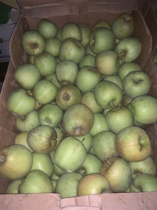 Vand mere din productie proprie