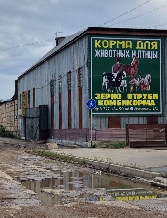 Ячмень дробленный