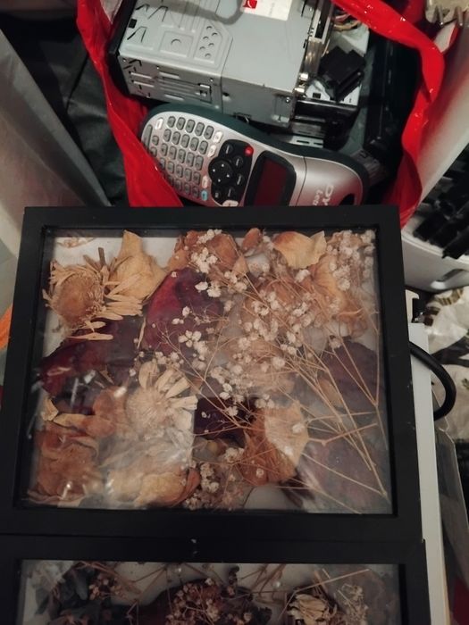 Стенни картини с сухи цветя