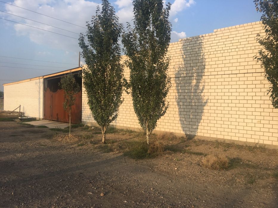 Продуктовый магазин