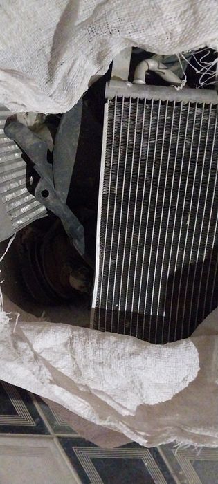 Kanditsaner labo damasga