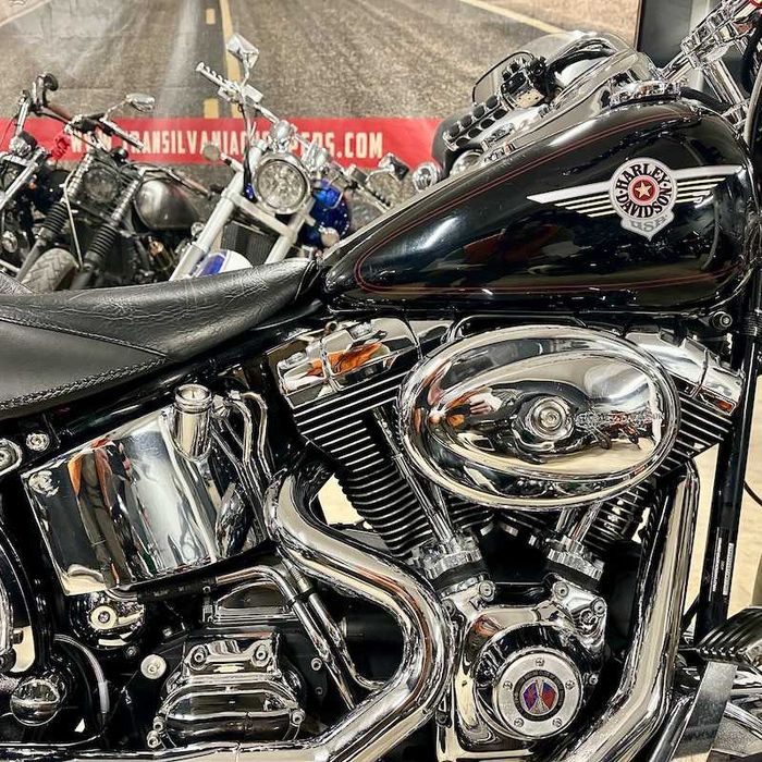 De vanzare: Harley-Davidson FLSTF Fat Boy