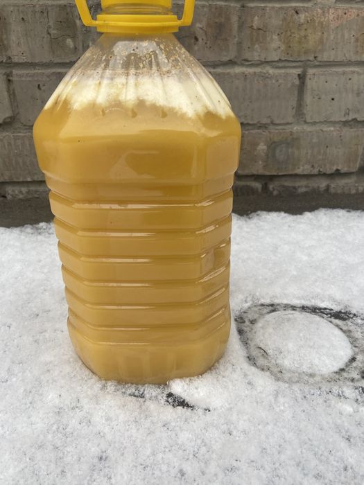 Мед 2025 года разнотравье