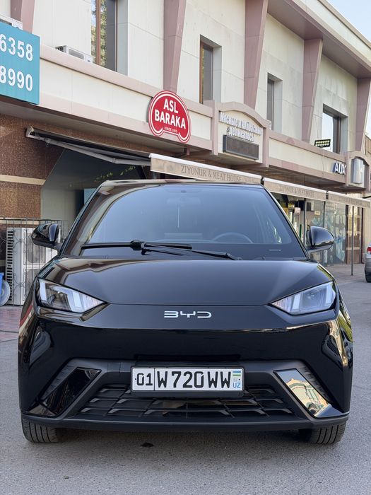BYD Seagull 2024 — 2