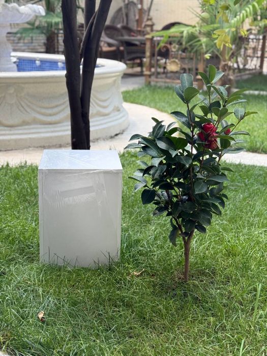 Foto studiya uchun dekor va aksessuarlar!