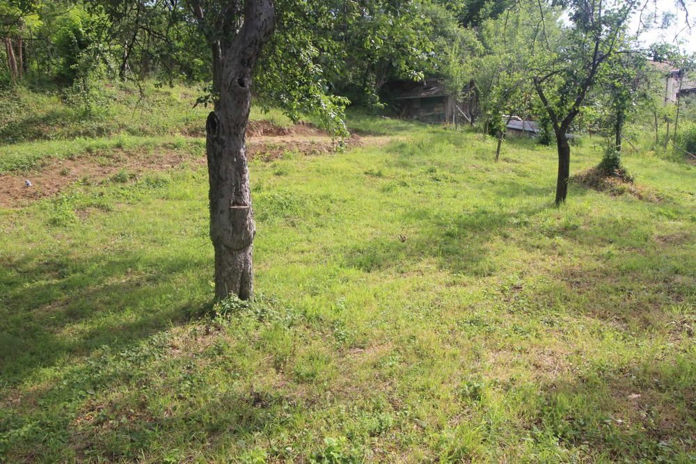 Продава се Парцел в с. Трънито, Област Габрово - 926 кв.м за 16 €/кв.м - Снимка #4