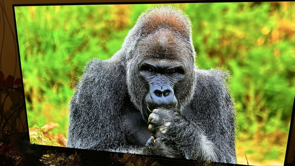 Panasonic TX-48 JZ980E Oled