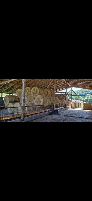 Vând baloț lucerna, fân, paie