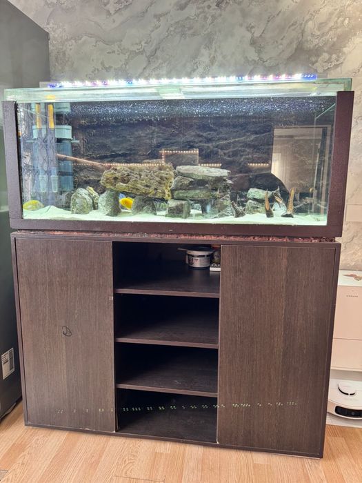 Продам аквариум