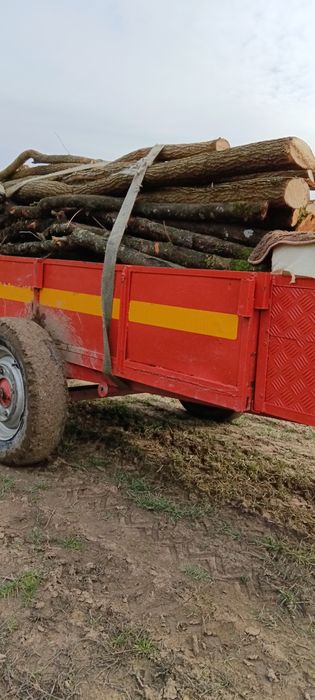 Motocultor de vânzare