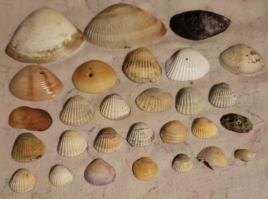 Продам камни для аквариума