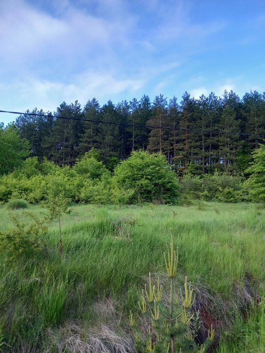 Продава се Къща в с. Люлин, Област Перник - 40 кв.м за 1500 €/кв.м - Снимка #23