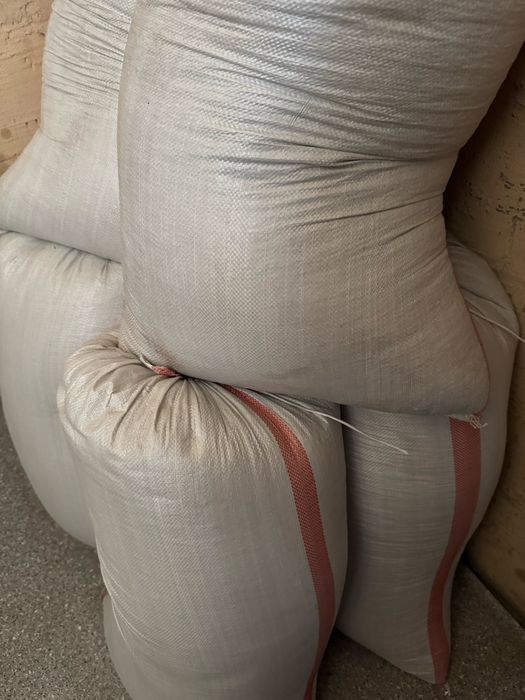 Үлкен өлшемді әйелдердің үйдегі фотосессиясы