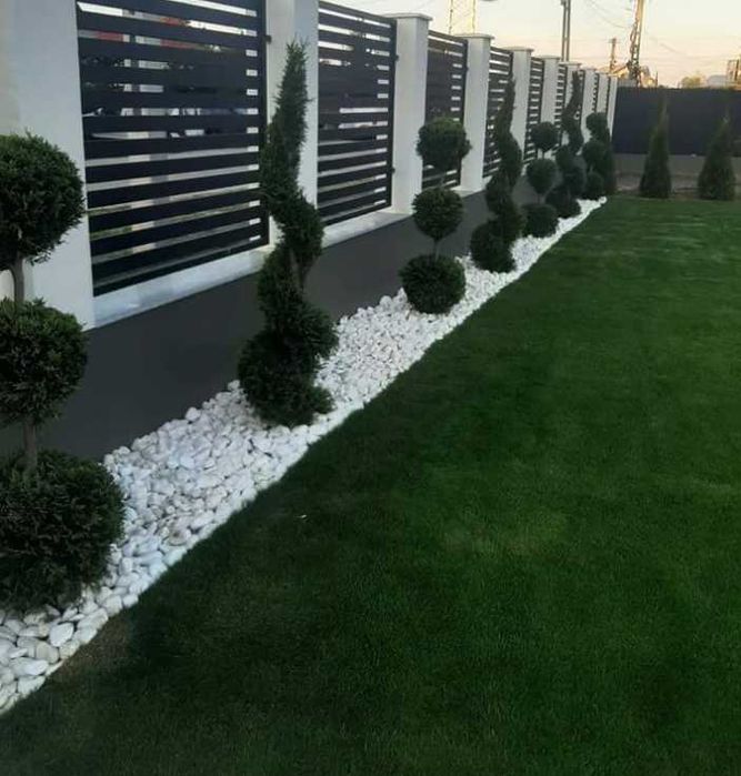 Gazon Natural pentru Spații Verzi Perfect Întreținute