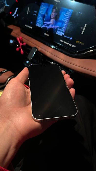 12 pro max обмен