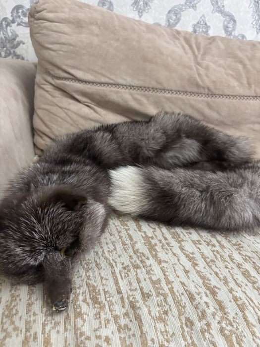 Продам шкурка песца