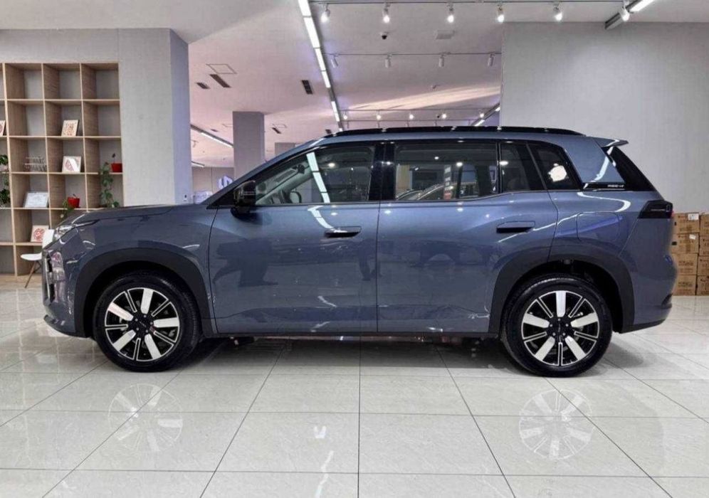 GAC Другая 2026 — 3