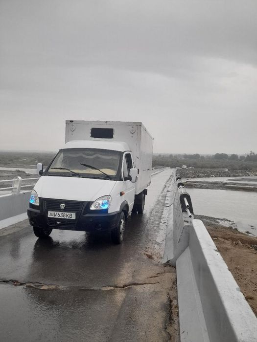 gazel sotiladi olaydigan tel qilsin