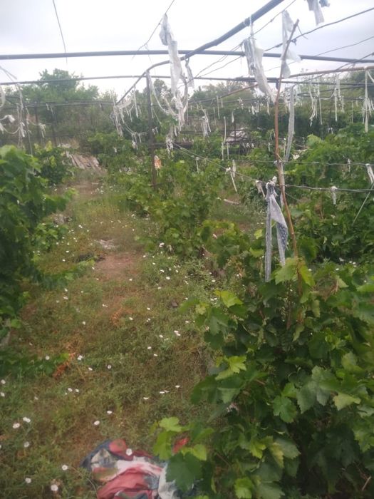 Дача в ТЭЦ 1 в хорошем состоянии