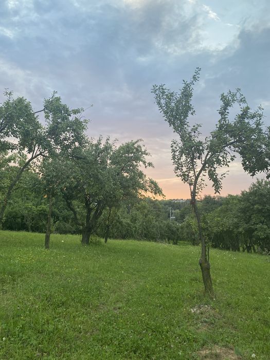 De vanzare mun Falticeni, jud Suceava