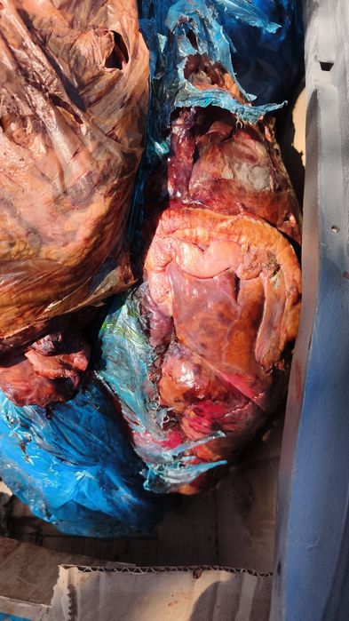 Обрезь ливер для собак