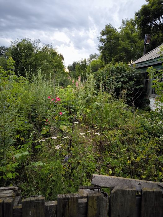 Продам дачу в черте города