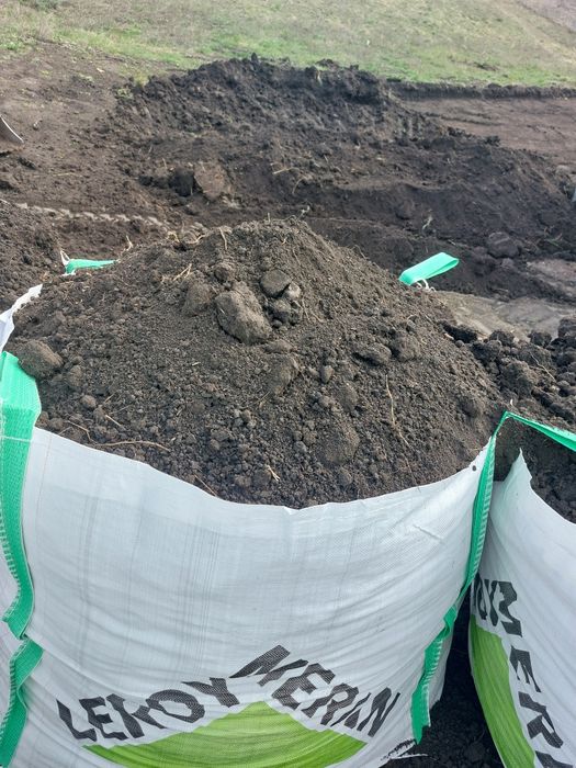 Pamant vegetal negru