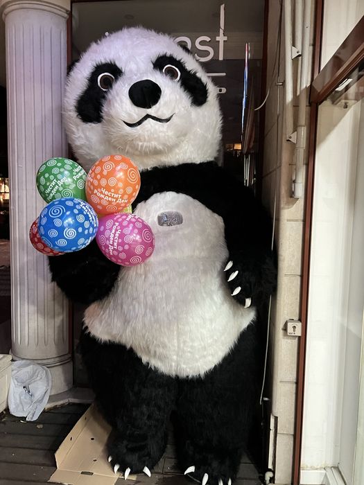 Изненада с гигантска триметрова бяла мечка или панда!