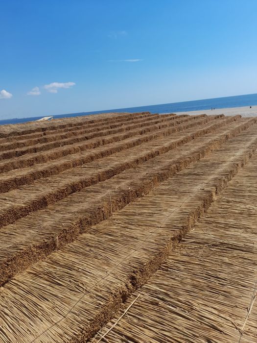 Vand stuf de anu asta