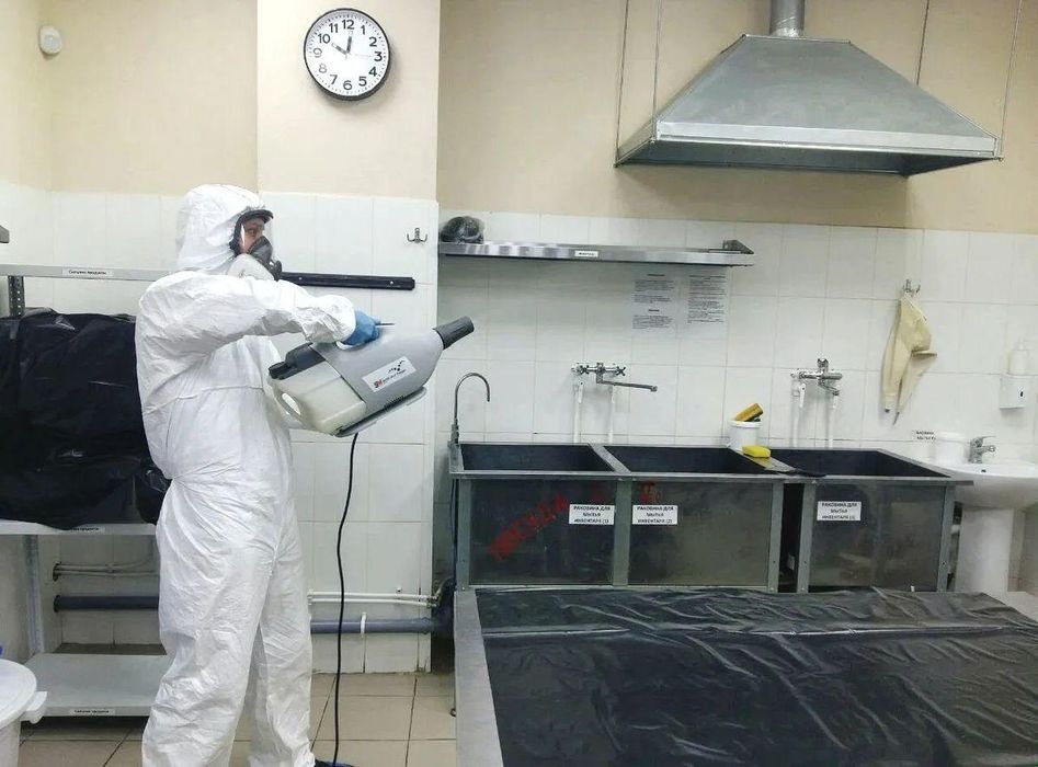 Уничтожение насекомых