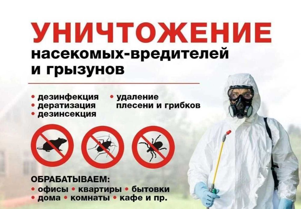 Dezinfeksiya Дезинфекция klop Дезинфекция дезинсекция клоп таракан