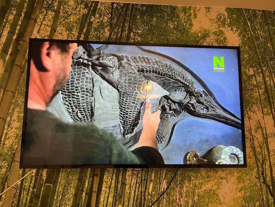 TV LED FHD 48 Inch 120 CM Philips TV LED